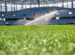 探究维卡里,热刺守门之,瑕非球队困,足彩,体彩,彩票,体育彩票,足球彩票,彩票合买,双赢彩票